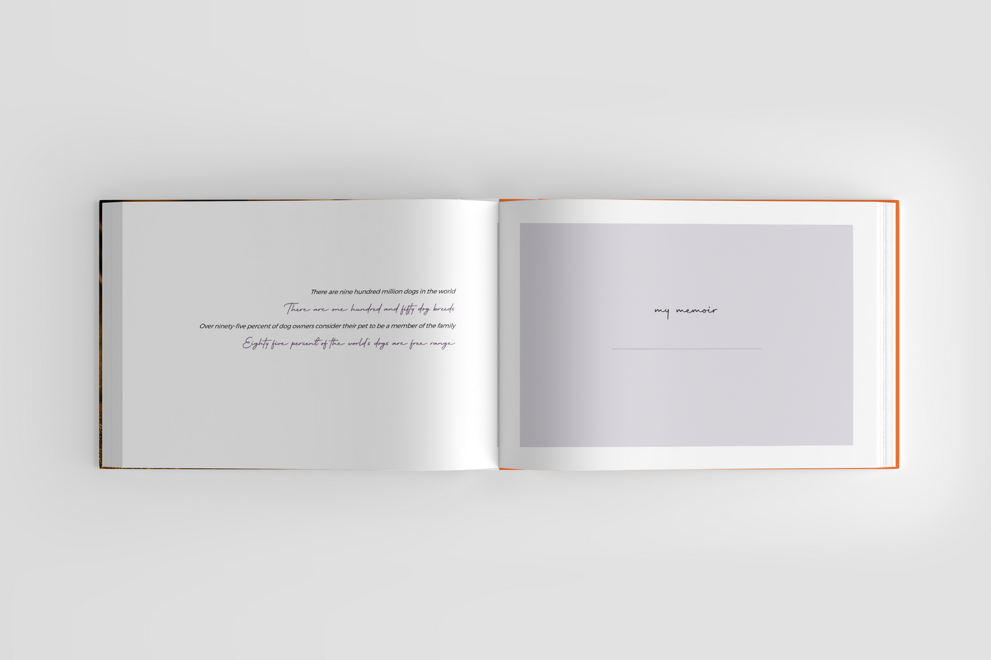 Best Furiend, Hand in Paw Coffee Table Book